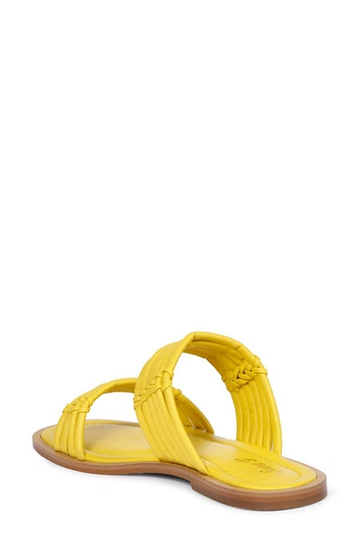 Shop Saint G Zoya Slide Sandal In Yellow