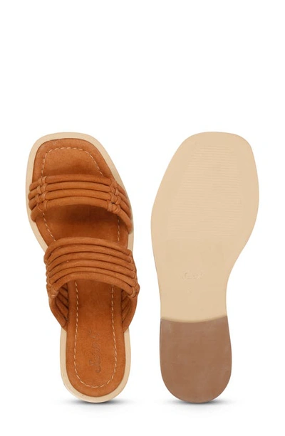 Shop Saint G Zoya Slide Sandal In Brown