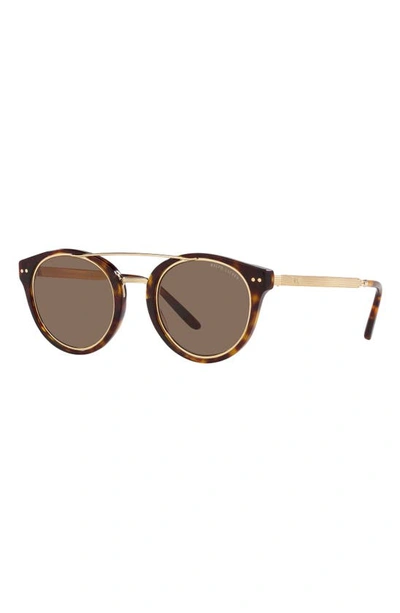 Shop Ralph Lauren 49mm Round Sunglasses In Dark Havana/ Brown