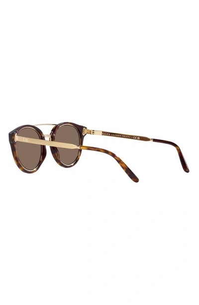 Shop Ralph Lauren 49mm Round Sunglasses In Dark Havana/ Brown