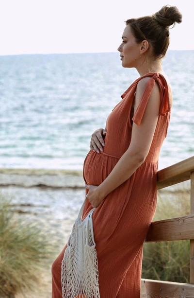 Cache Coeur Canyon Organic Cotton Gauze Maternity/nursing Jumpsuit In Copper