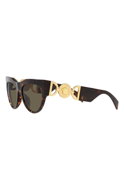 Shop Versace 56mm Cat Eye Sunglasses In Havana