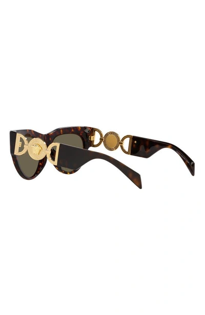 Shop Versace 56mm Cat Eye Sunglasses In Havana