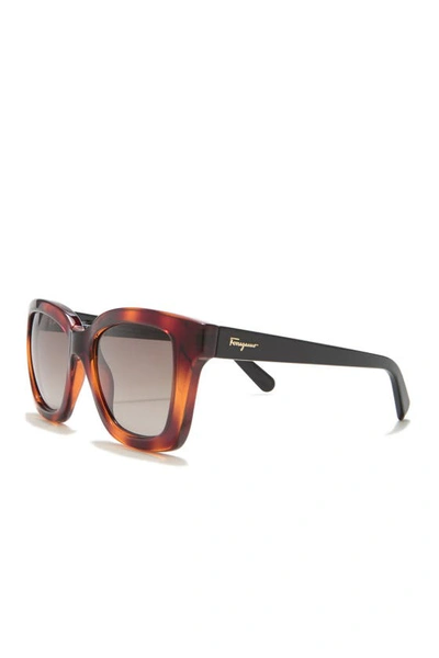 Ferragamo 53mm Square Sunglasses In Tortoise