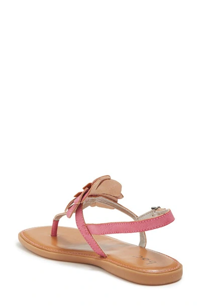 Shop B O C By Born Koko Floral Sandal In Pink
