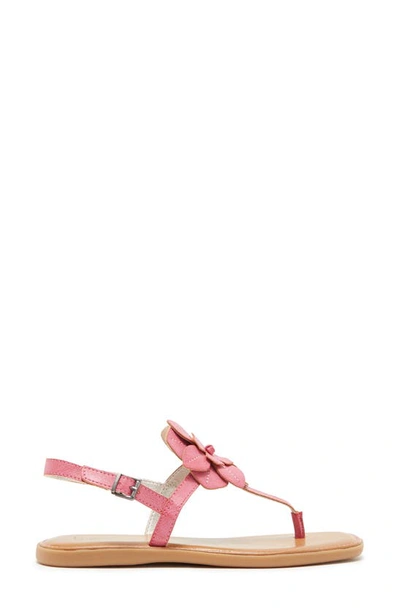 Shop B O C By Born Koko Floral Sandal In Pink