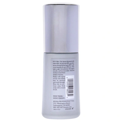 Shop Kenra Platinum Blow Dry Spray For Unisex 3.4 oz Hairspray In Silver