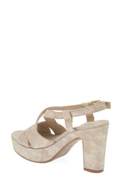 Cordani Tahlia Strappy Platform Sandal In Dusty Gold