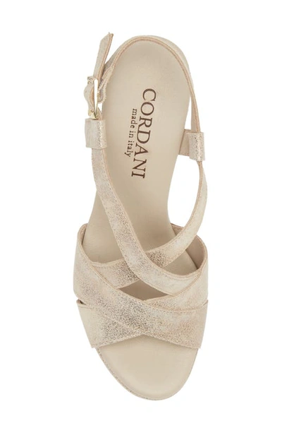 Cordani Tahlia Strappy Platform Sandal In Dusty Gold