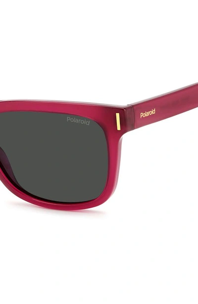 Polaroid 54mm Polarized Rectangular Sunglasses In Fuchsia/ Gray Polar
