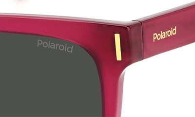 Polaroid 54mm Polarized Rectangular Sunglasses In Fuchsia/ Gray Polar