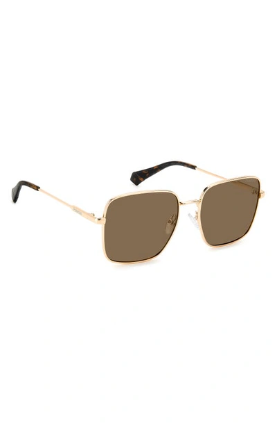 Shop Polaroid 56mm Polarized Square Sunglasses In Gold Copper/ Bronze Polar