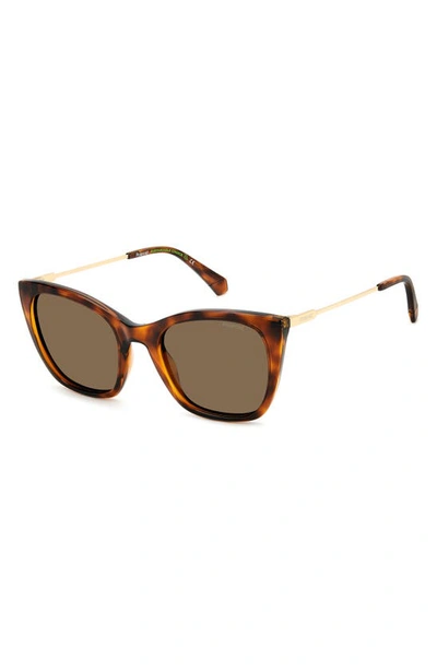 Polaroid 52mm Polarized Cat Eye Sunglasses In Havana/ Bronze Polar