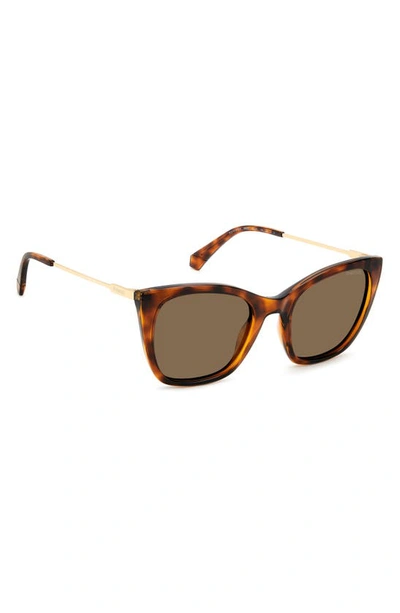 Polaroid 52mm Polarized Cat Eye Sunglasses In Havana/ Bronze Polar