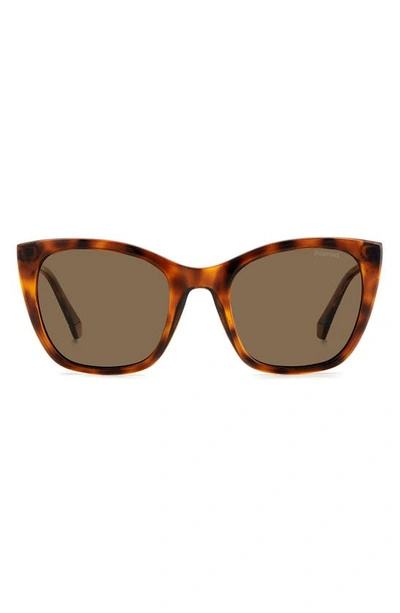 Polaroid 52mm Polarized Cat Eye Sunglasses In Havana/ Bronze Polar