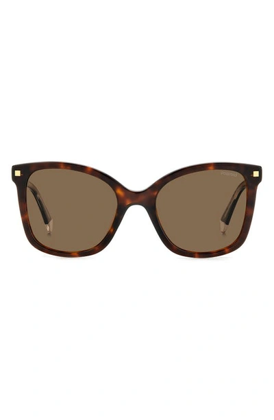 Polaroid 53mm Polarized Square Sunglasses In Havana/ Bronze Polar