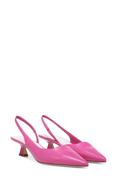 Sarto By Franco Sarto Devin Pointed Toe Slingback Pump In Shocking Pink