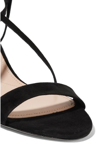 Shop Miu Miu Suede Sandals