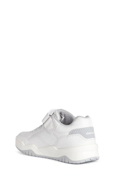 Shop Geox Kids' Perth Sneaker In White/grey
