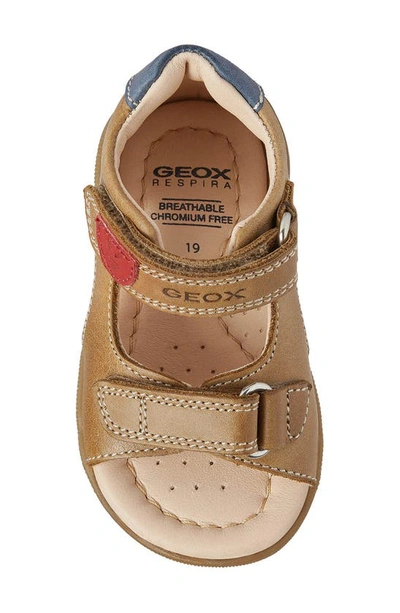 Shop Geox Macchia Sandal In Caramel