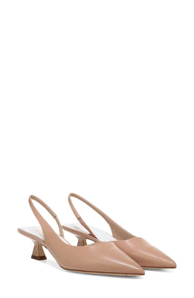Sarto By Franco Sarto Devin Pointed Toe Slingback Pump In Sand