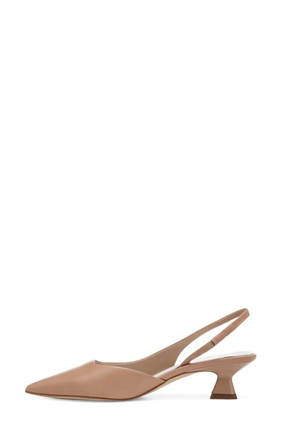 Sarto By Franco Sarto Devin Pointed Toe Slingback Pump In Sand