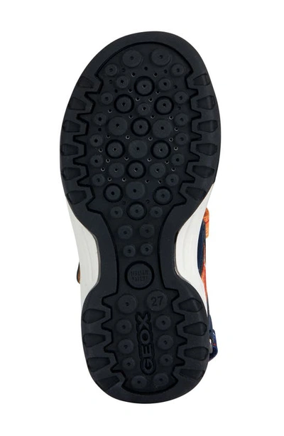 Shop Geox Kids' Borealis Water Resistant Sandal In Navy/ Orange