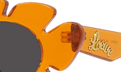 Shop Loewe X Paula's Ibiza Flower 47mm Small Cat Eye Sunglasses In Shiny Orange / Smoke