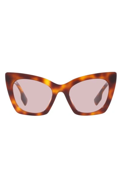 Shop Burberry 52mm Cat Eye Sunglasses In Light Havana