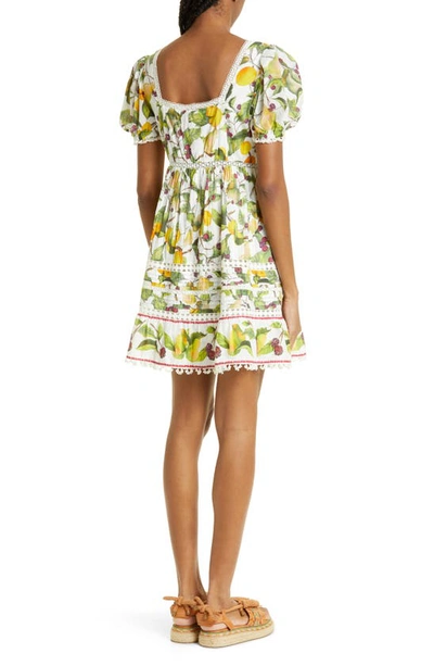 Shop Farm Rio Fruit Orchard Cotton Minidress In Fruit Orchard Off-wh