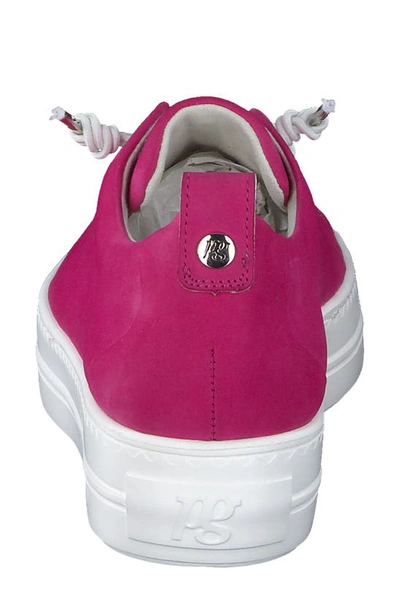 Shop Paul Green Faye Sneaker In Barbie Nubuck