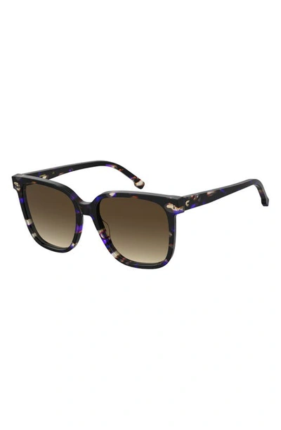 Carrera Eyewear 55mm Rectangular Sunglasses In Violet Havana/ Brown Gradient