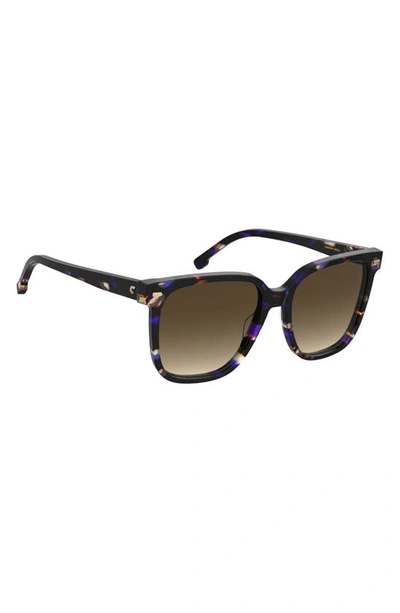 Carrera Eyewear 55mm Rectangular Sunglasses In Violet Havana/ Brown Gradient