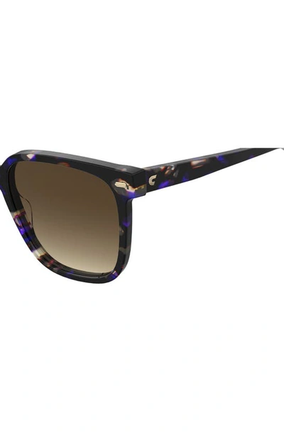 Carrera Eyewear 55mm Rectangular Sunglasses In Violet Havana/ Brown Gradient