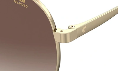 Shop Carrera Eyewear 63mm Polarized Oversize Aviator Sunglasses In Gold Havana/ Brown Polar
