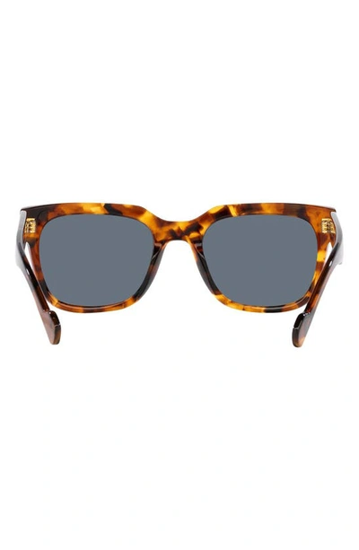 Shop Vogue 54mm Polarized Square Sunglasses In Tortoise