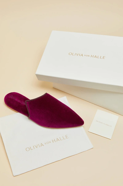 Shop Olivia Von Halle Contessa Pasha Pink Slippers In Velvet