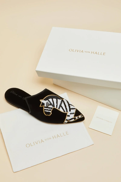 Shop Olivia Von Halle Contessa Zebedee Black Velvet Slippers