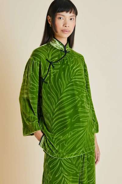 Shop Olivia Von Halle Harlow Odda Silk Velvet Devoré Pyjama Set