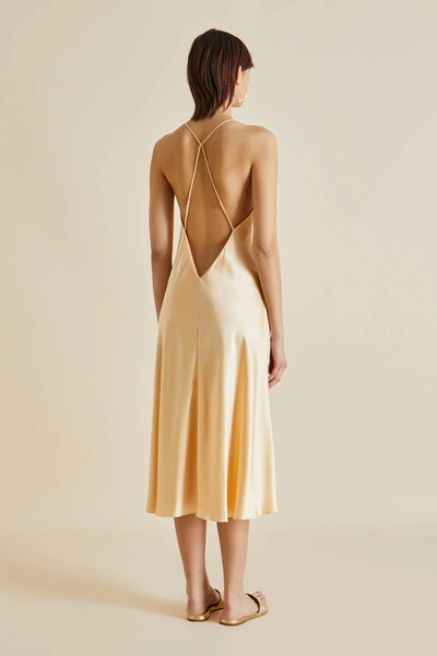 Shop Olivia Von Halle Mossy Bellini Orange Silk Satin Slip Dress
