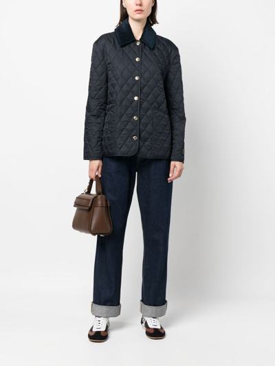 Shop Burberry Quilted Jacket In Blue