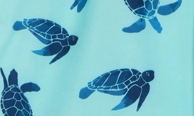 Shop Rainforest Turtles Of The Sea Swim Trunks In Aruba Blue