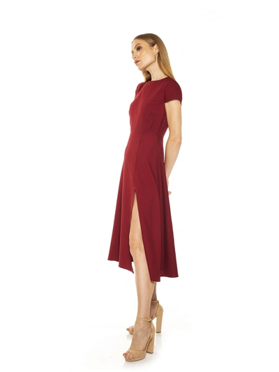 Alexia Admor Lily Crew Neck Midi Dress In Multi
