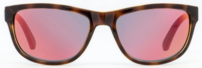 Shop Puma Unisex Sunglasses Pu0011s Foundation V2 003 Havana 58mm In Grey