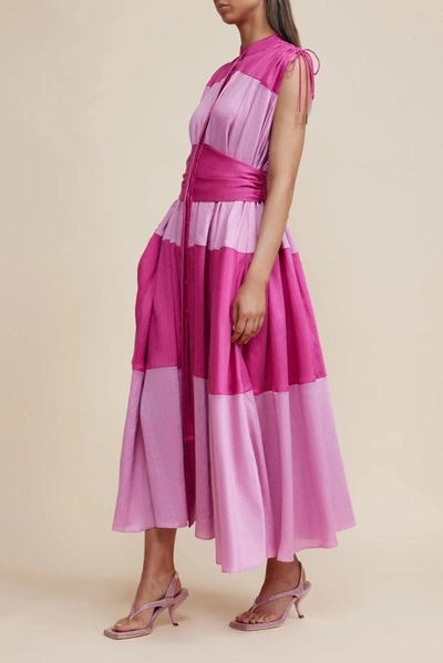 Shop Acler Widford Dress In Pink