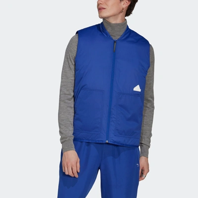 Shop Adidas Originals Men's Adidas Puffer Vest In Blue
