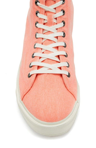 Shop Allsaints Bryce High Top Sneaker In Acid Pink