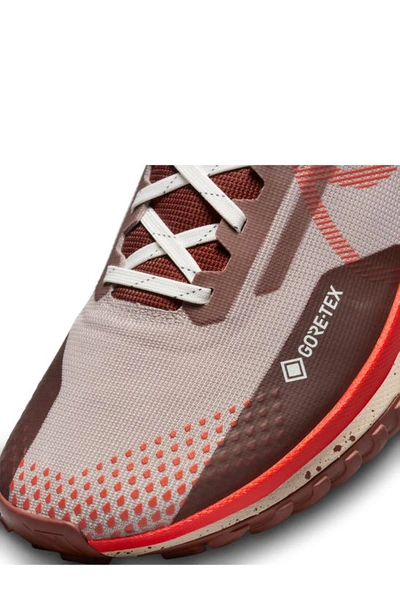 Shop Nike React Pegasus Trail 4 Gore-tex® Waterproof Running Shoe In Diffused Taupe/ Red/ Dark Pony