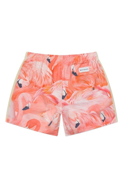 Shop Mavrans Flamingo Performance Swim Trunks In Pink