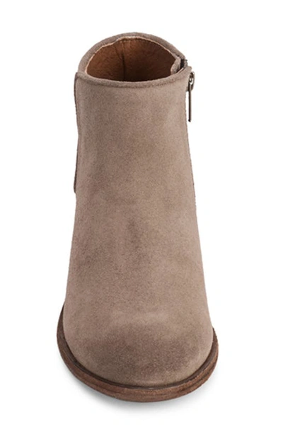 Shop Frye Carson Piping Bootie In Medium Taupe - Suede Leather